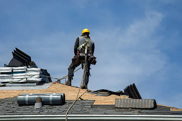 Professional Storm Damage Roof Repair technician working in Jonas Ridge, NC